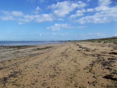 201208_0168 