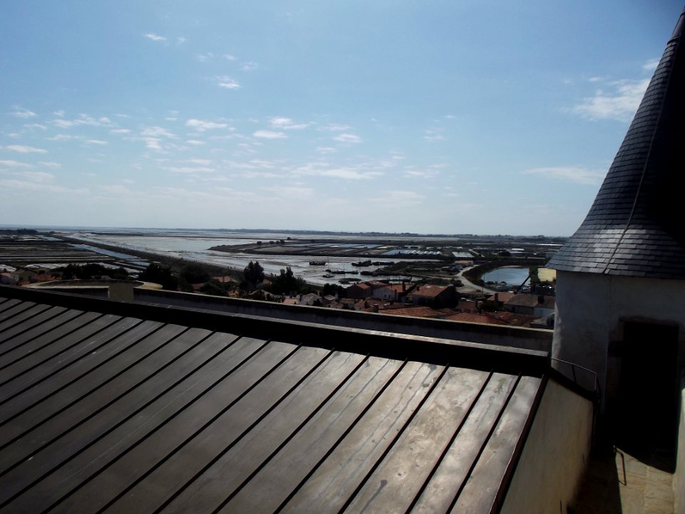 201208_0181 