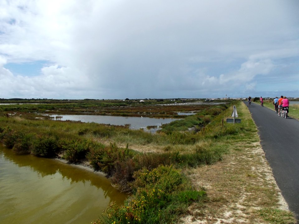 201208_0087 
