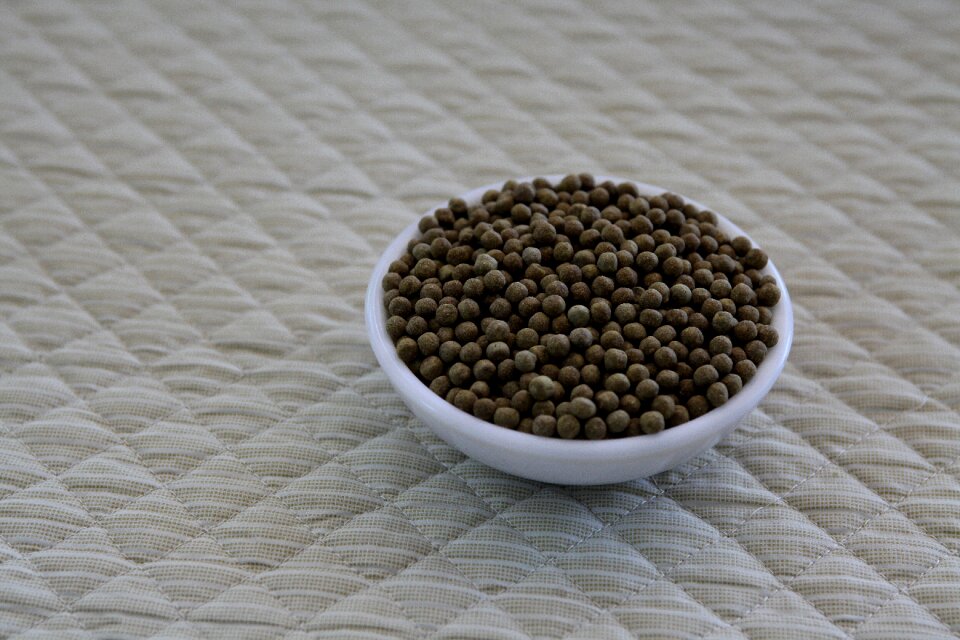 Pills chinese medicine bitter pill