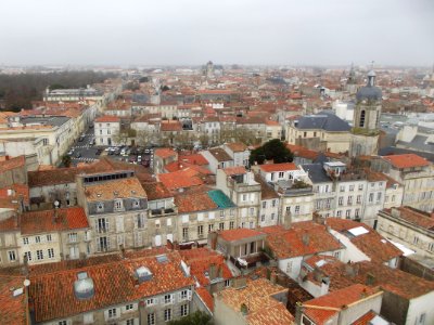 201112_0233 