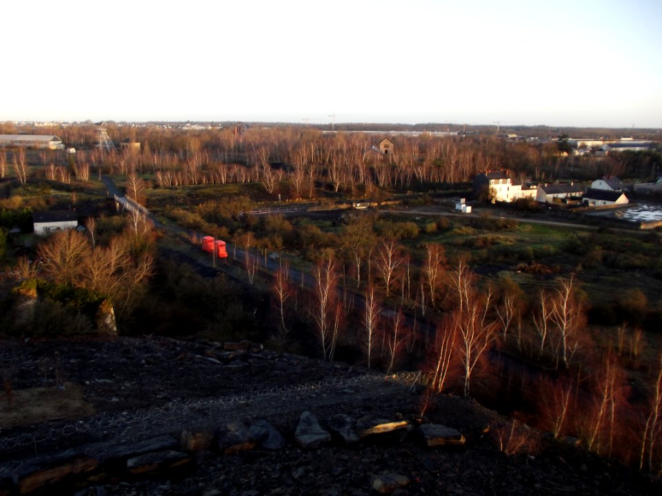 201112_0012 