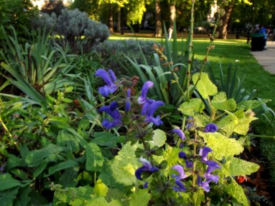 201109_0407 