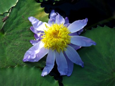 201109_0389 