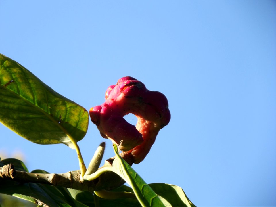 201109_0380 