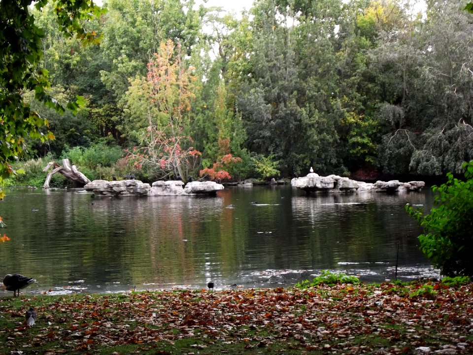 201109_0243 