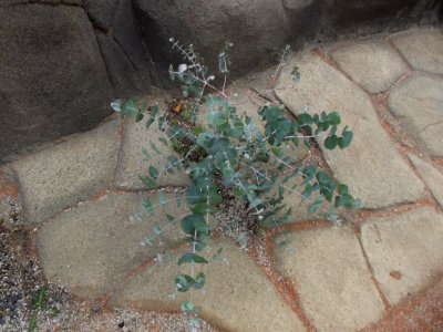 201109_0131 