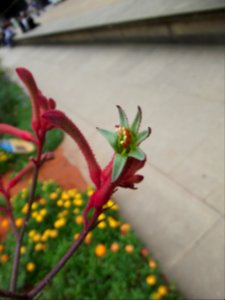 201109_0123 