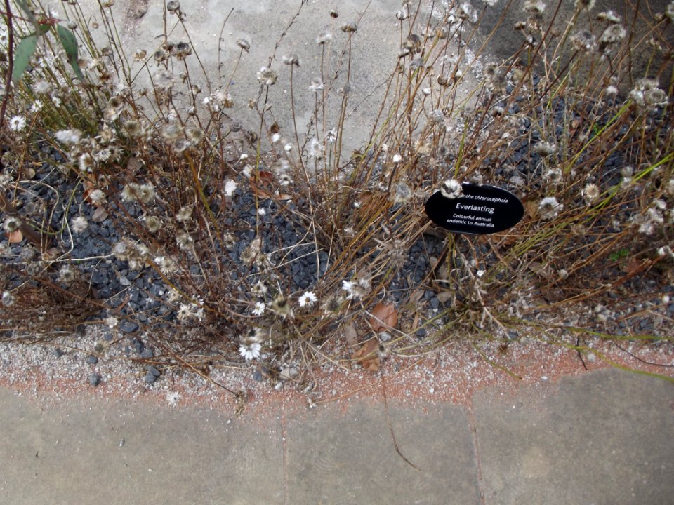 201109_0127 