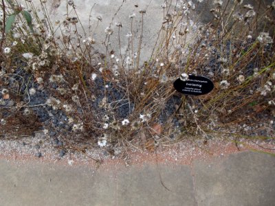 201109_0127 