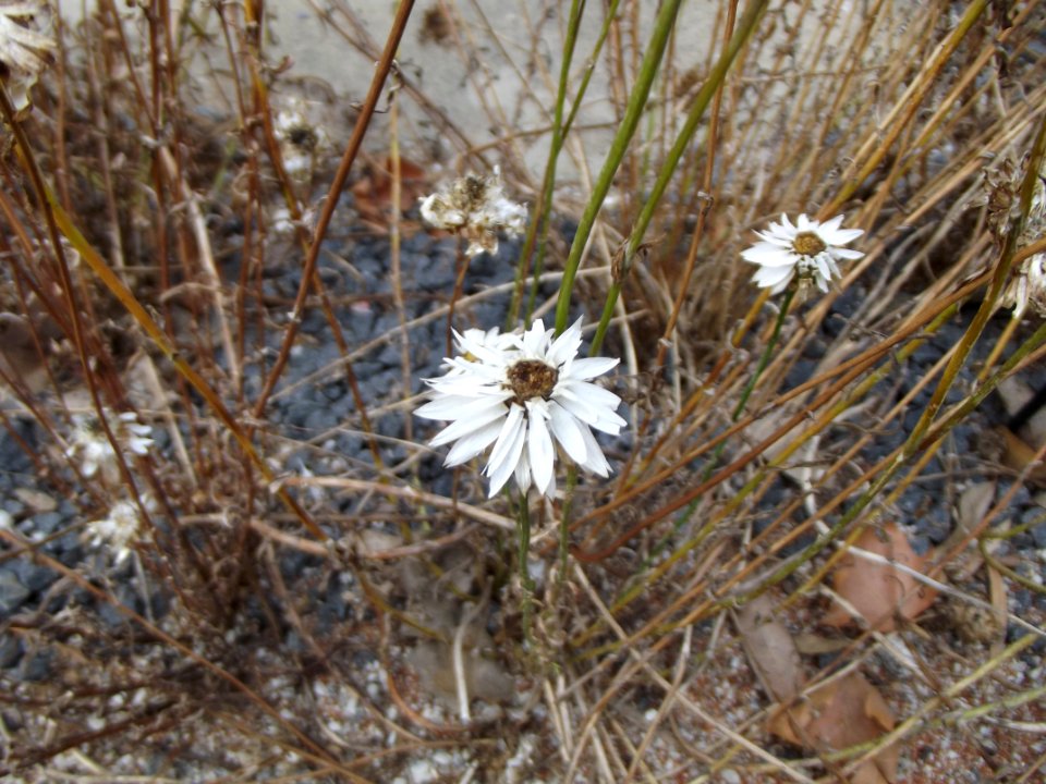 201109_0129 