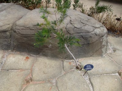 201109_0107 