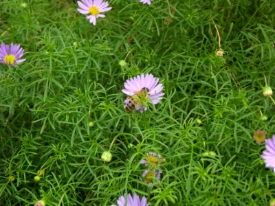 201109_0094 
