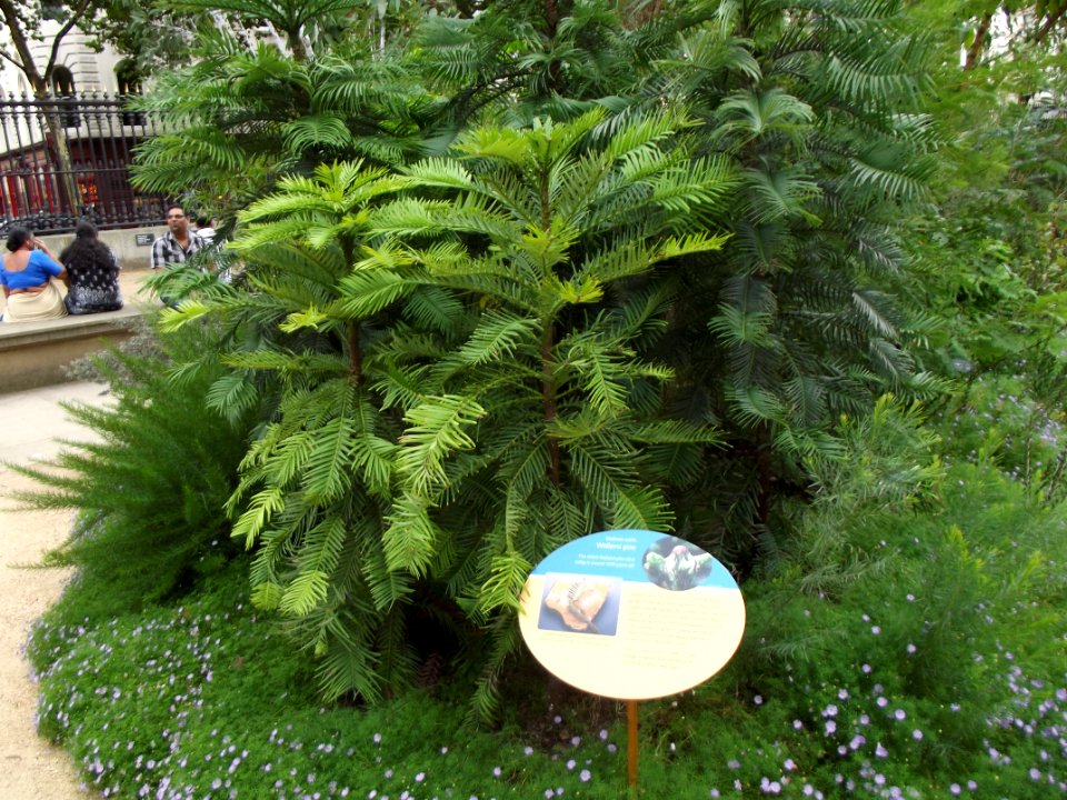 201109_0091 