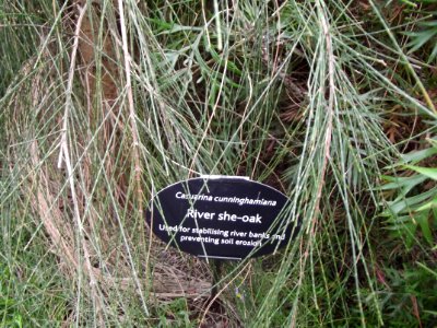 201109_0090 