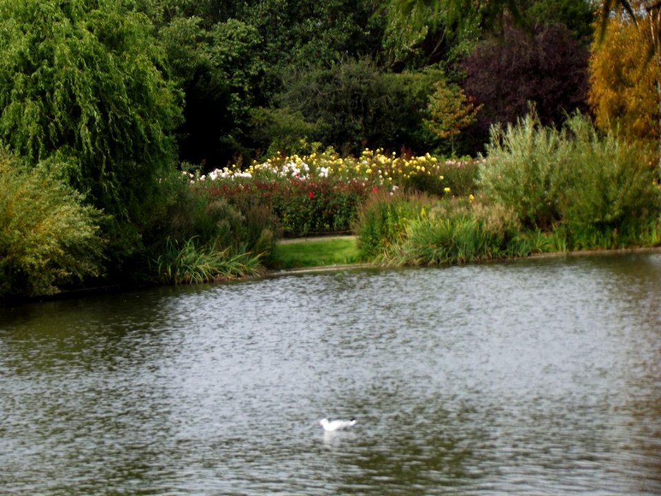 201109_0072 