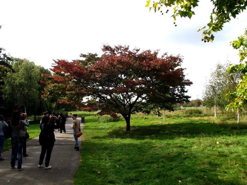 201109_0058 