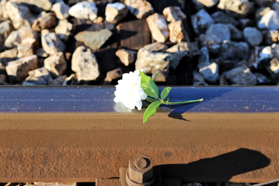 Remembering those kids who left us too soon school stress