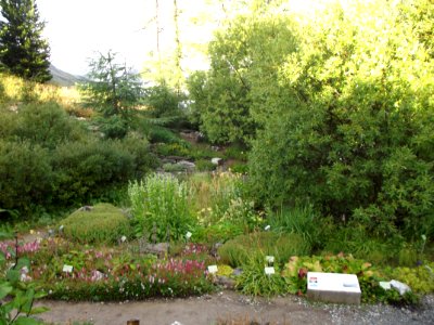 201108_0223 