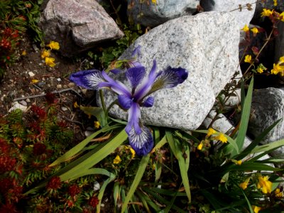 201108_0027 