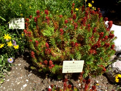 201108_0029 