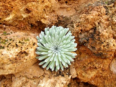 201107_0091 
