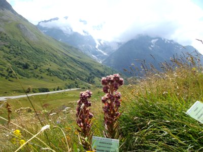 201107_0081 