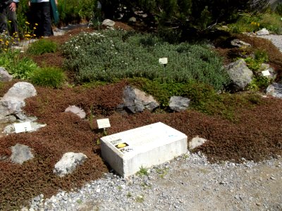 201107_0078 