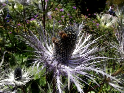 201107_0067 