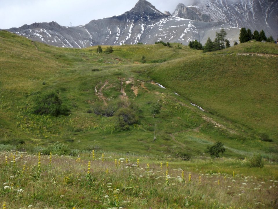 201107_0039 