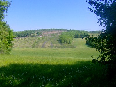201105_0017 