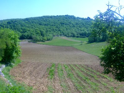 201105_0009 