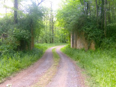201104_0041 