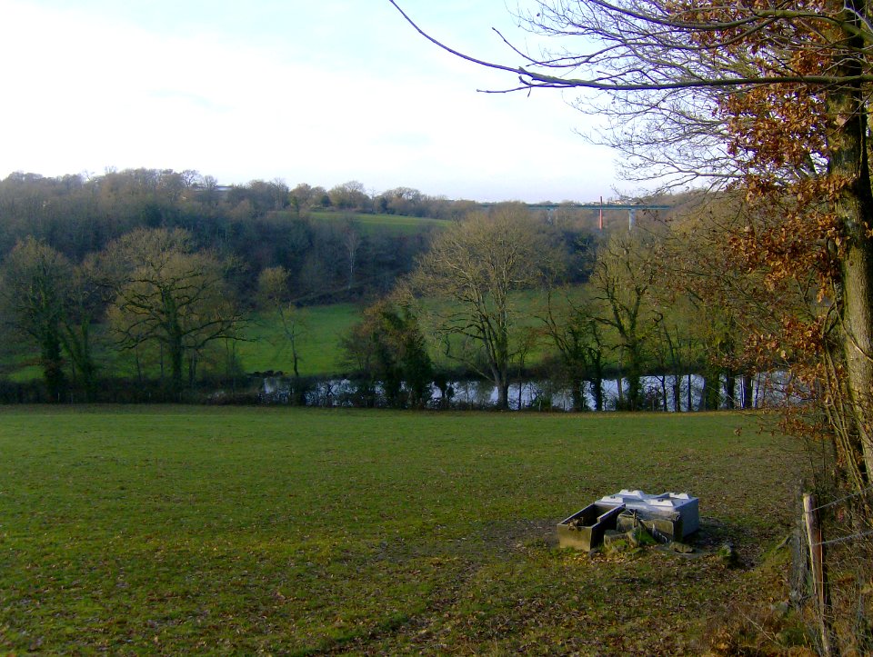 201012_0009 