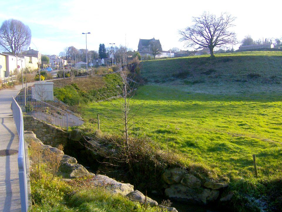 201012_0006 