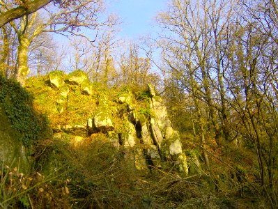 201012_0008 