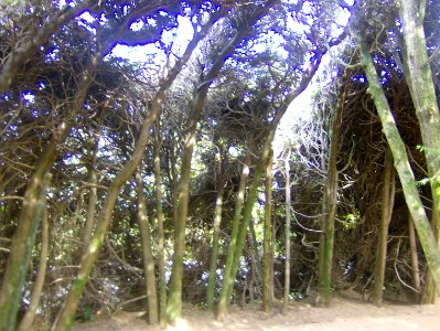 201010_0008 