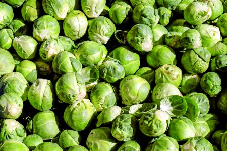 Cabbage vitamins eat