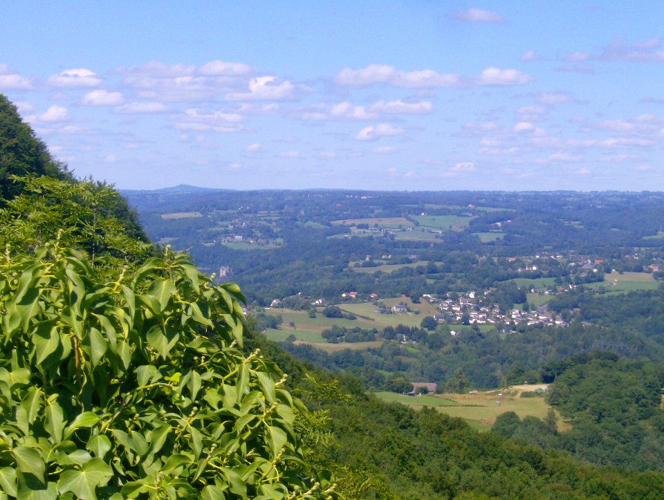 201008_0046 