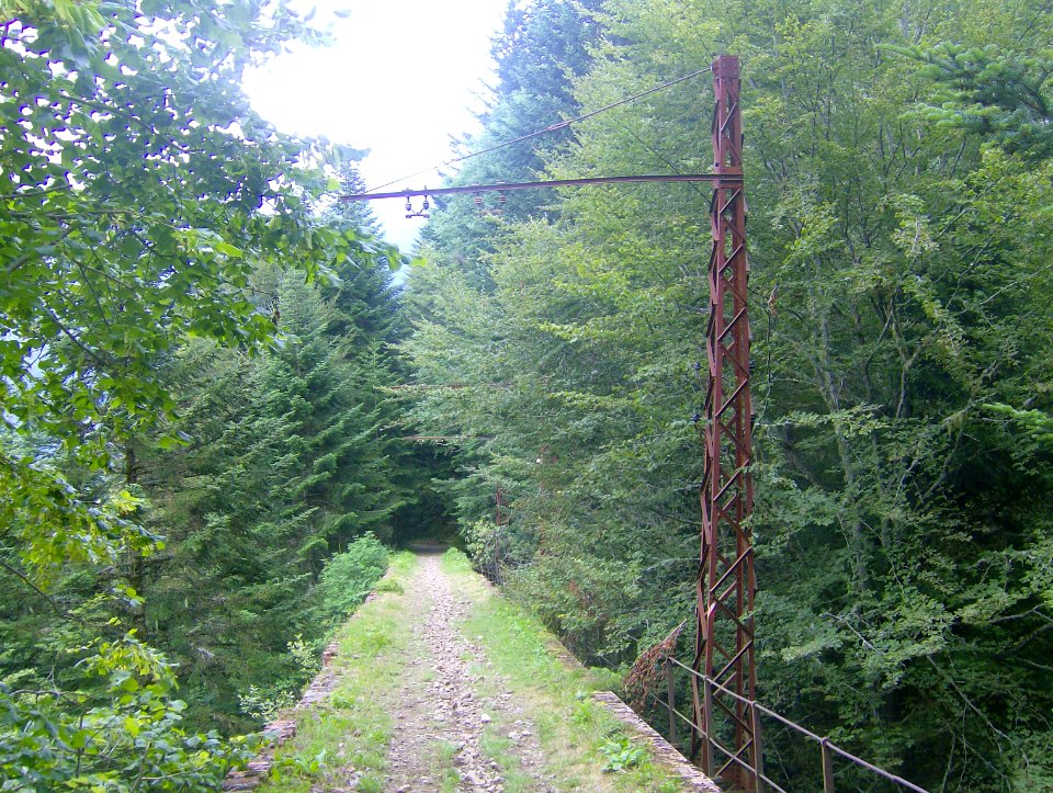 201007_0170 