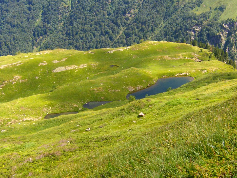 201007_0177 