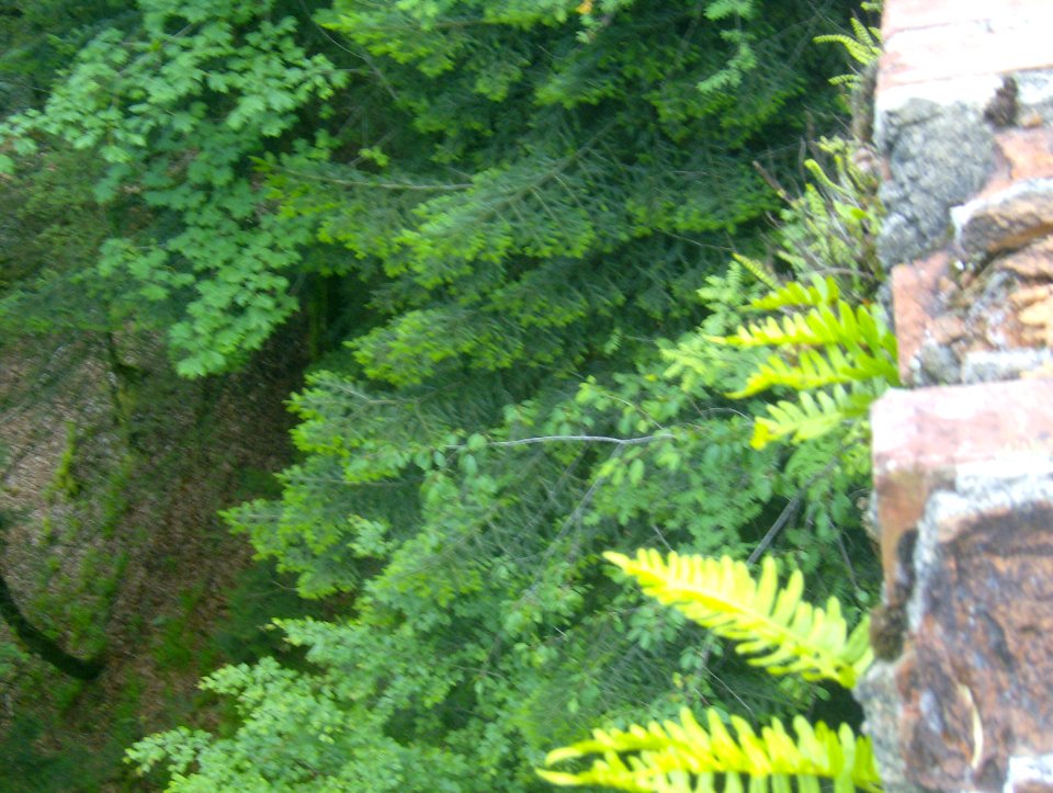 201007_0166 