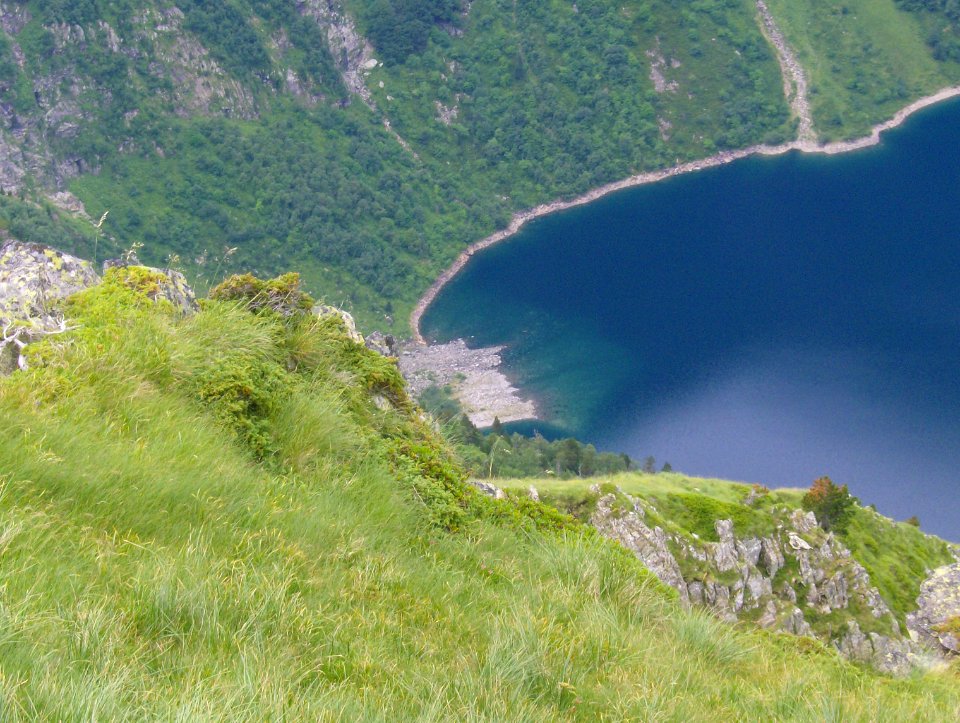 201007_0131 
