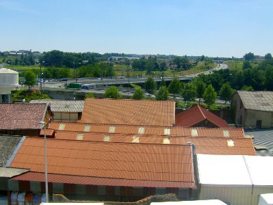 201006_0123 