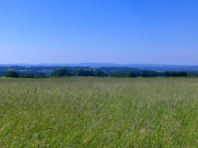 201006_0019 