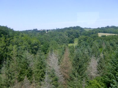 201006_0009 