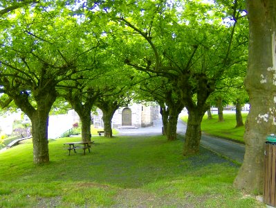201005_0012 