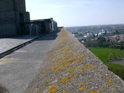 201004_0046 