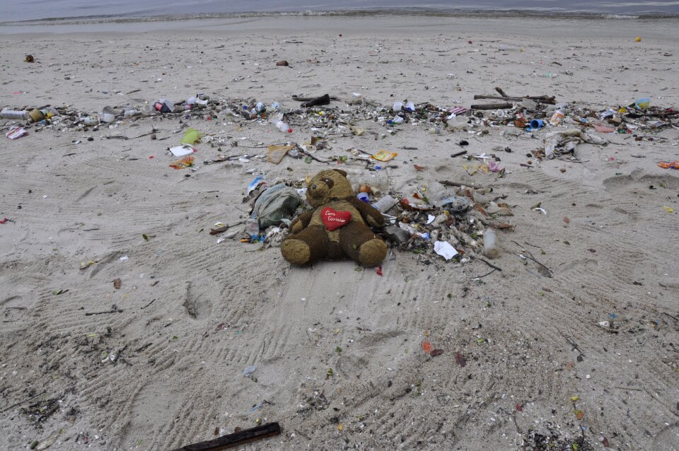 Teddy bear beach trash