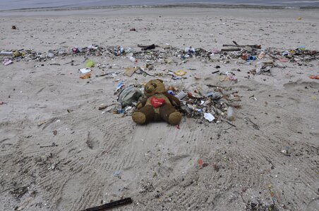 Teddy bear beach trash